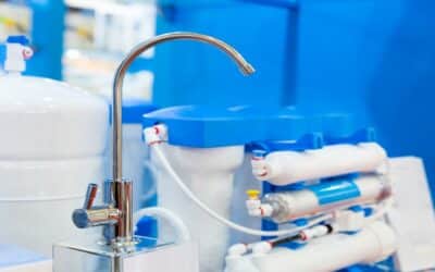 Which is Better? Purified Water or Reverse Osmosis Water?